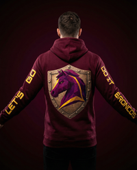 Broncos Inspired Hoodie